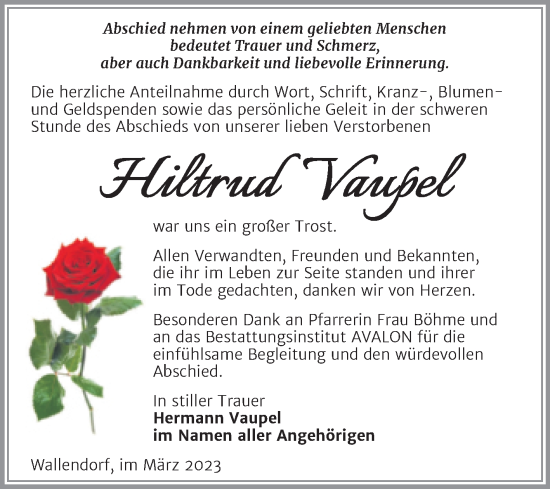 Traueranzeige von bedeutet  und Schmerz von Trauerkombi Merseburg