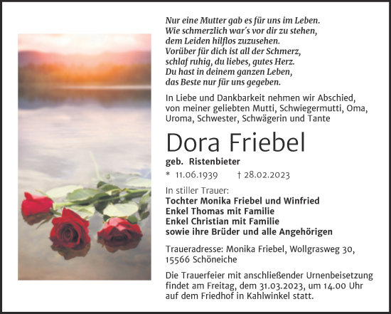 Traueranzeige von Dora Friebel von Wochenspiegel Naumburg/Nebra