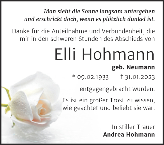 Traueranzeige von Elli Hohmann von Trauerkombi Bitterfeld