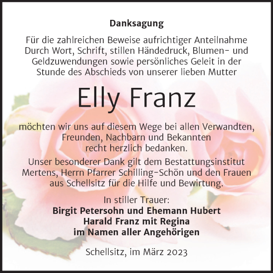 Traueranzeige von Elly Franz von Naumburger Tageblatt