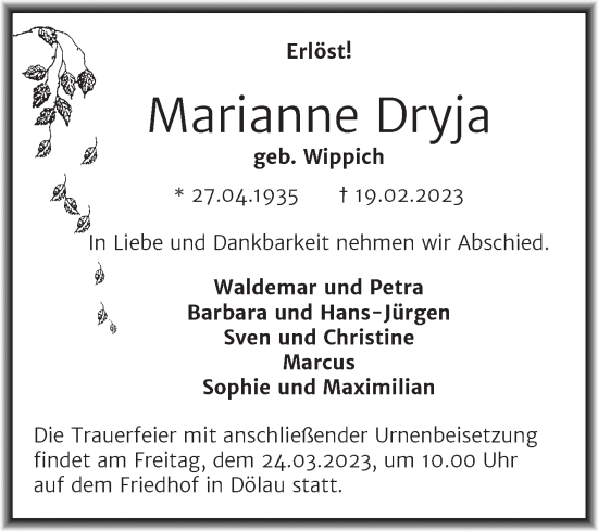Traueranzeige von Marianne Dryja von Mitteldeutsche Zeitung Halle/Saalkreis