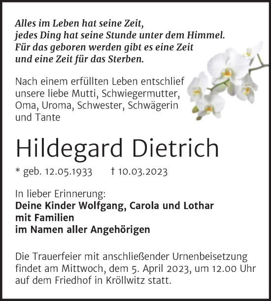 Traueranzeige von Hildegard Dietrich von Mitteldeutsche Zeitung Halle/Saalkreis
