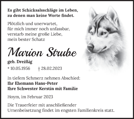 Traueranzeige von Marion Strube von Trauerkombi Aschersleben