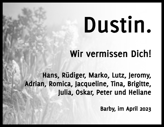 Traueranzeige von Dustin  von Volksstimme Schönebeck