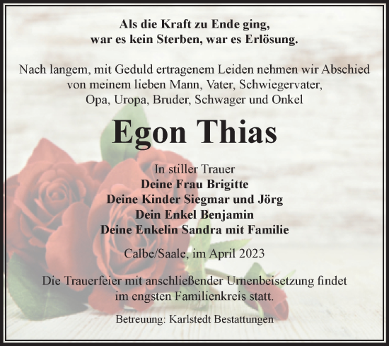Traueranzeige von Egon Thias von Volksstimme Schönebeck