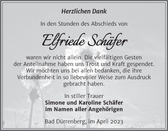 Traueranzeige von Elfriede Schäfer von Trauerkombi Merseburg