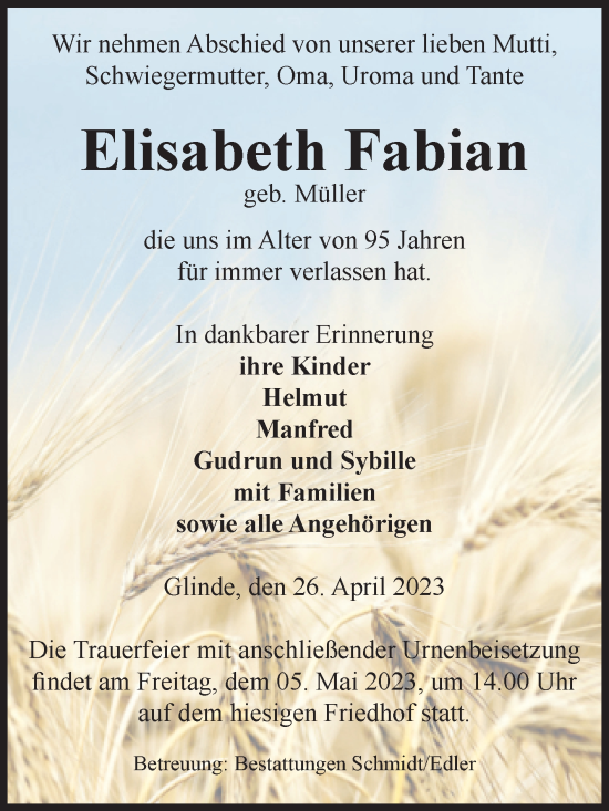 Traueranzeige von Elisabeth Fabian von Volksstimme Schönebeck