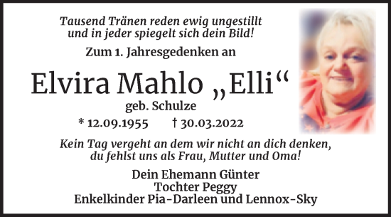 Traueranzeige von Elvira Mahlo von Trauerkombi Dessau