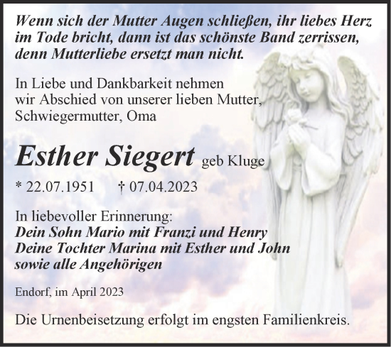 Traueranzeige von Esther Siegert von Trauerkombi Quedlinburg