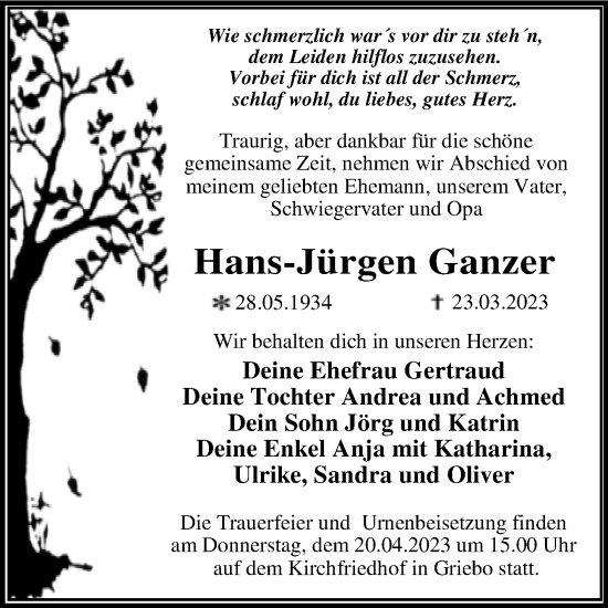 Traueranzeige von Hans-Jürgen Ganzer von Trauerkombi Wittenberg