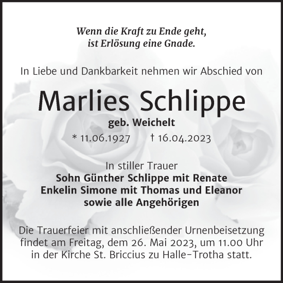 Traueranzeige von Marlies Schlippe von Mitteldeutsche Zeitung Halle/Saalkreis