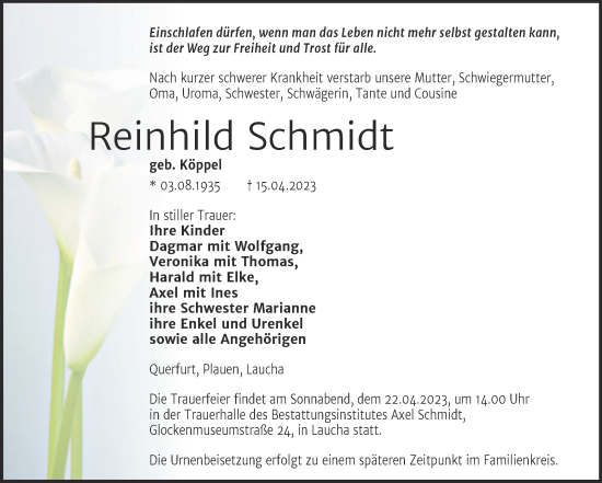 Traueranzeige von Reinhild Schmidt von Naumburger Tageblatt
