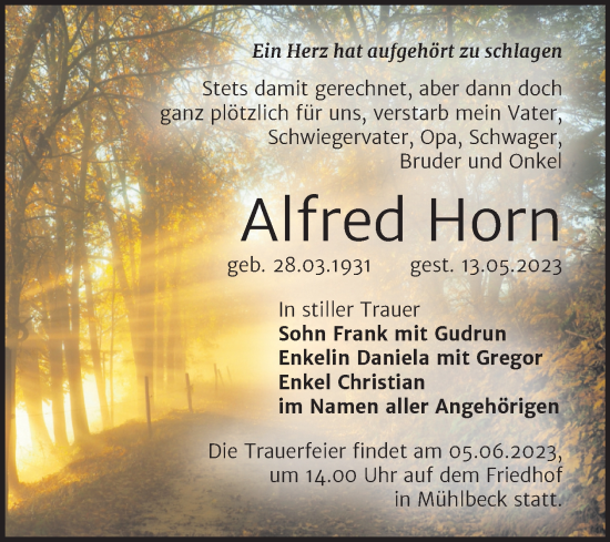 Traueranzeige von Alfred Horn von Trauerkombi Bitterfeld