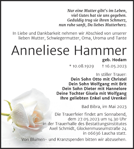 Traueranzeige von Anneliese Hammer von Naumburger Tageblatt