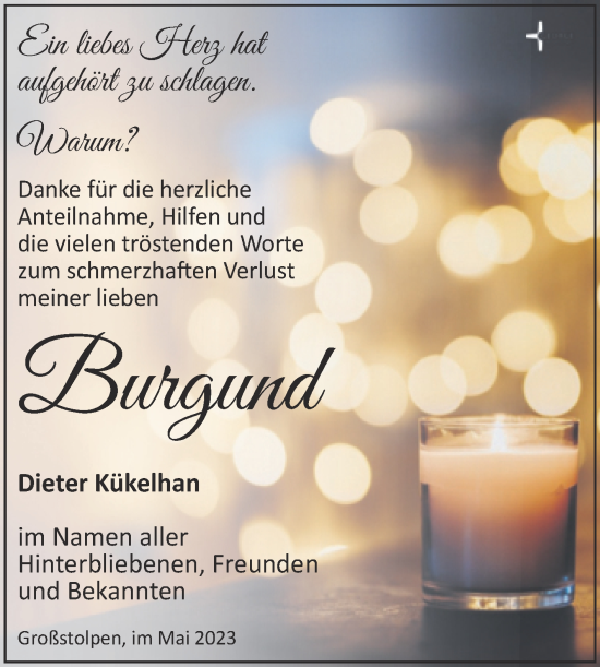 Traueranzeige von Burgund  von Trauerkombi Zeitz