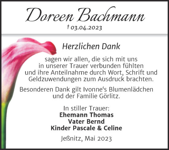 Traueranzeige von Doreen Bachmann von Trauerkombi Bitterfeld