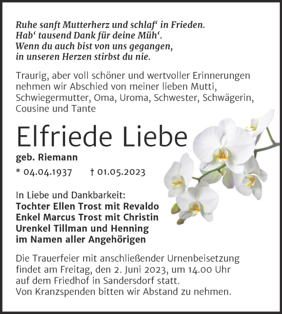 Traueranzeige von Elfriede Liebe von Trauerkombi Bitterfeld