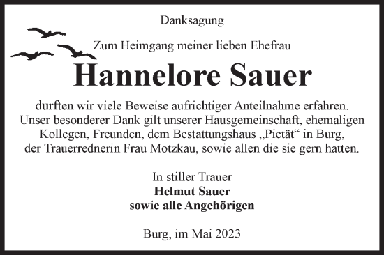 Traueranzeige von Hannelore Sauer von Volksstimme Burg/Genthin