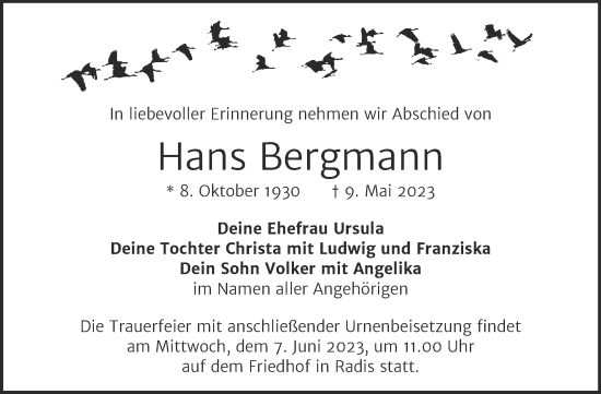 Traueranzeige von Hans Bergmann von Trauerkombi Wittenberg