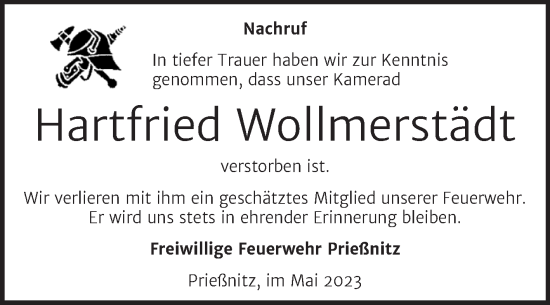 Traueranzeige von Hartfried Wollmerstädt von Wochenspiegel Naumburg/Nebra