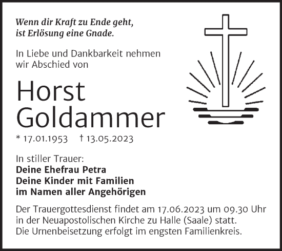 Traueranzeige von Horst Goldammer von Mitteldeutsche Zeitung Halle/Saalkreis