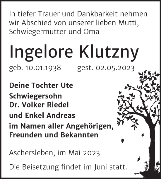 Traueranzeige von Ingelore Klutzny von Trauerkombi Aschersleben