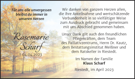 Traueranzeige von Rosemarie Scharf von Trauerkombi Sangerhausen