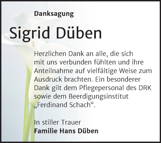 Traueranzeige von Sigrid Düben von Trauerkombi Wittenberg