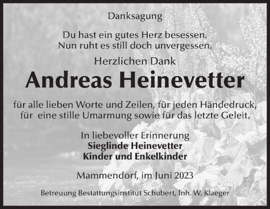 Traueranzeige von Andreas Heinevetter von Volksstimme Haldensleben/Wolmirstedt