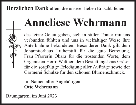 Traueranzeige von Anneliese Wehrmann von Volksstimme Altmark Ost