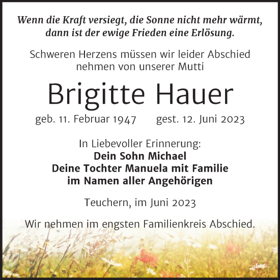 Traueranzeige von Brigitte Hauer von Trauerkombi Weißenfels