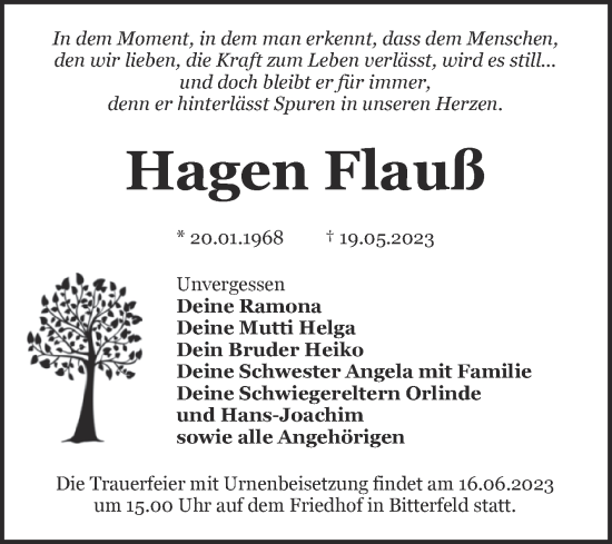 Traueranzeige von Hagen Flauß von Trauerkombi Bitterfeld