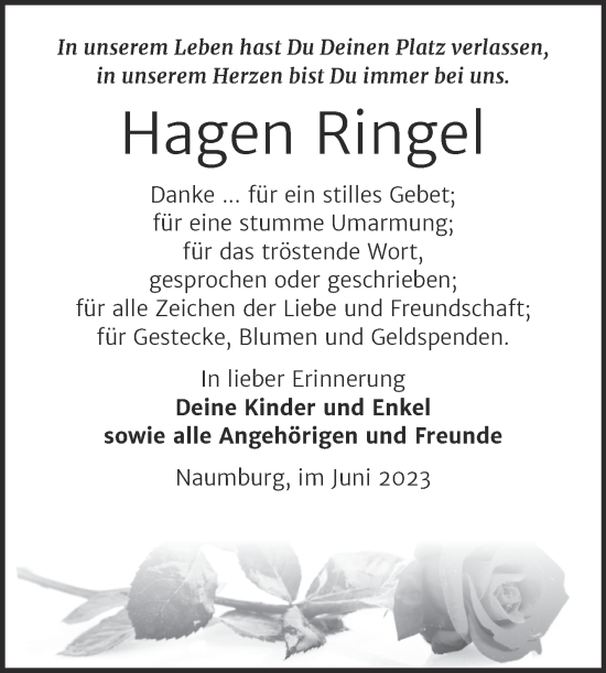 Traueranzeige von Hagen Ringel von Wochenspiegel Naumburg/Nebra