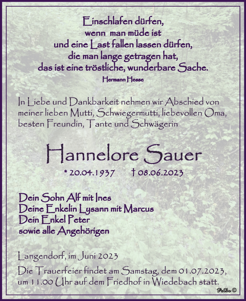  Traueranzeige für Hannelore Sauer vom 17.06.2023 aus Trauerkombi Weißenfels