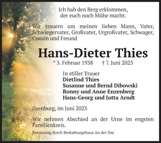 Traueranzeige von Hans-Dieter Thies von Volksstimme Wernigerode
