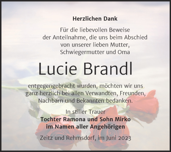 Traueranzeige von Lucie Brandl von Trauerkombi Zeitz