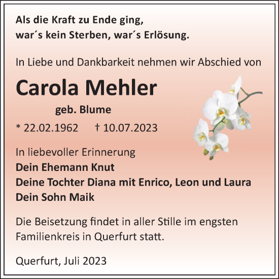 Traueranzeige von Carola Mehler von Trauerkombi Merseburg