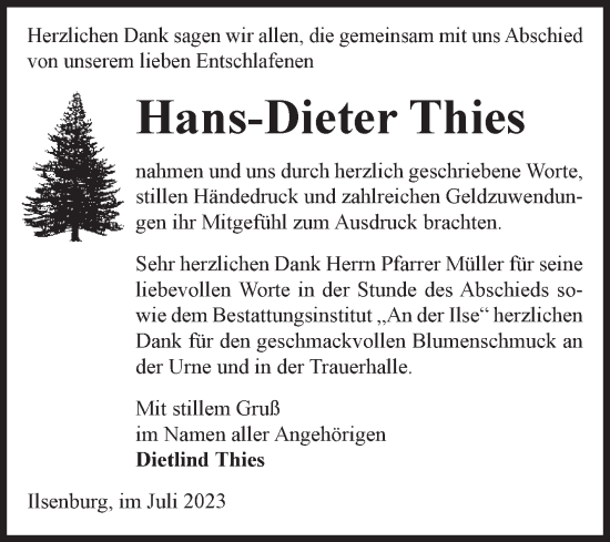 Traueranzeige von Hans-Dieter Thies von Volksstimme Wernigerode