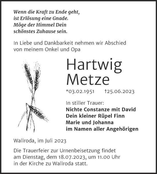Traueranzeige von Hartwig Metze von Wochenspiegel Naumburg/Nebra