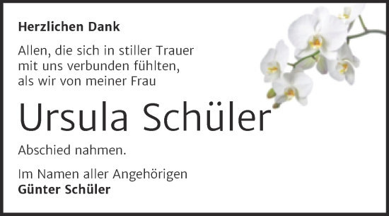Traueranzeige von Ursula Schüler von Trauerkombi Dessau