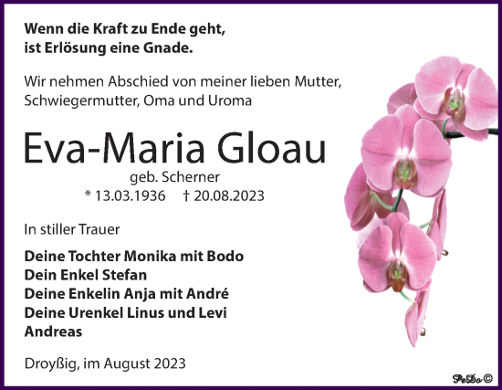 Traueranzeige von Eva-Maria Gloau von Trauerkombi Zeitz