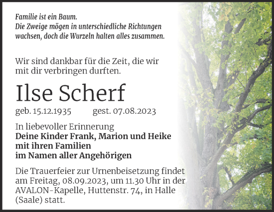 Traueranzeige von Ilse Scherf von Mitteldeutsche Zeitung Halle/Saalkreis