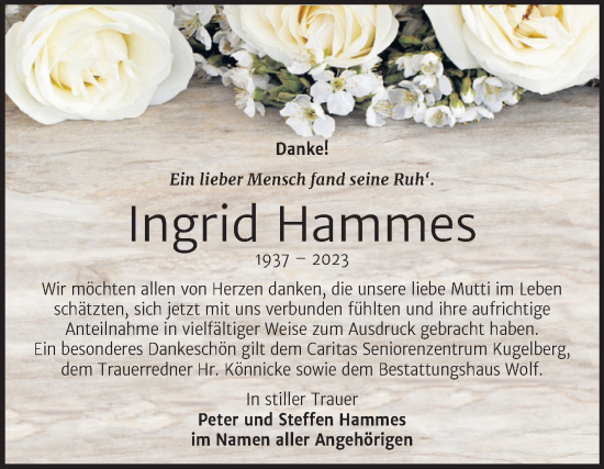 Traueranzeige von Ingrid Hammes von Trauerkombi Weißenfels