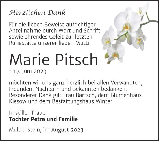 Traueranzeige von Marie Pitsch von Trauerkombi Bitterfeld