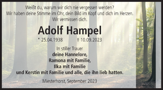 Traueranzeige von Adolf Hampe von Volksstimme Altmark West