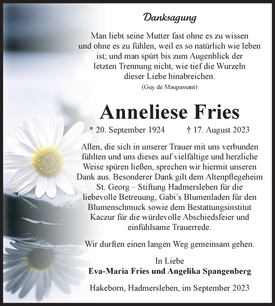 Traueranzeige von Anneliese Fries von Volksstimme Oschersleben/Wanzleben