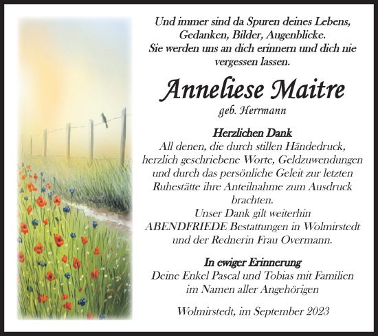 Traueranzeige von Anneliese Maitre von Volksstimme Haldensleben/Wolmirstedt