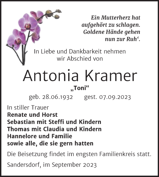 Traueranzeige von Antonia Kramer von Trauerkombi Bitterfeld