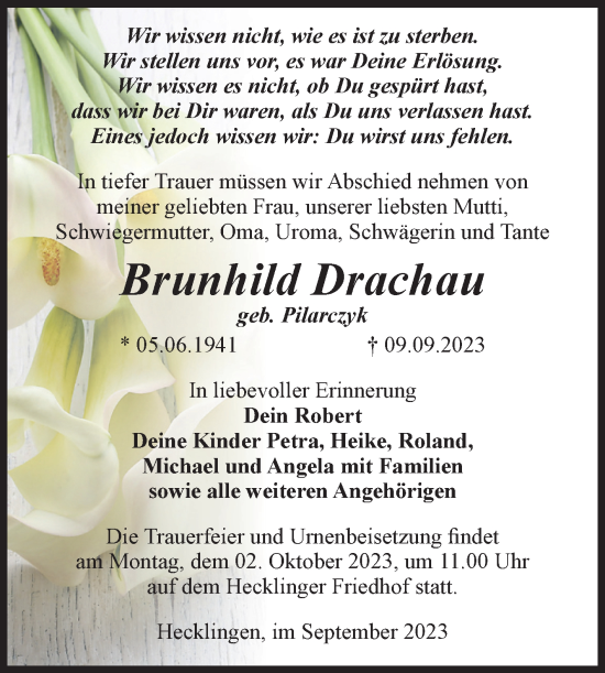 Traueranzeige von Brunhild Drachau von Volksstimme Staßfurt