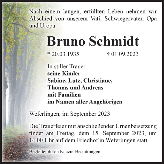 Traueranzeige von Bruno Schmidt von Volksstimme Haldensleben/Wolmirstedt